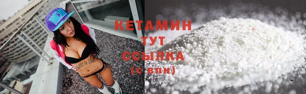 индика Киреевск