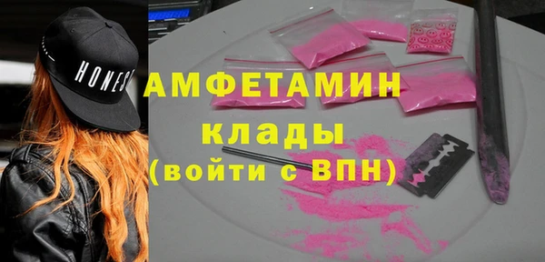 индика Киреевск