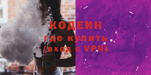 индика Киреевск