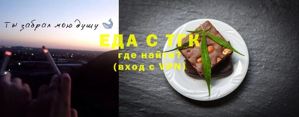 индика Киреевск
