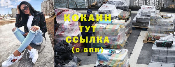 индика Киреевск
