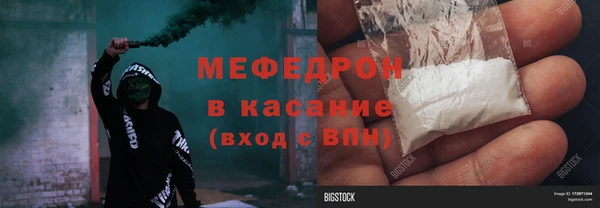 индика Киреевск