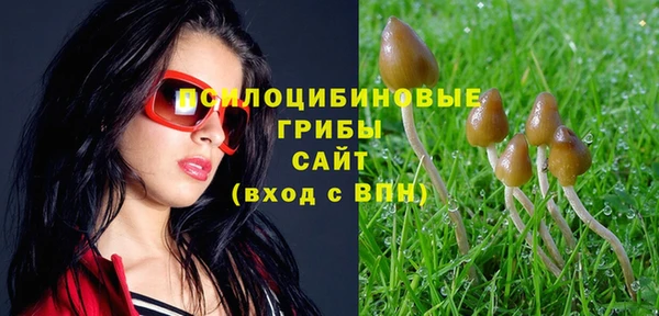 индика Киреевск