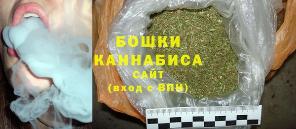 индика Киреевск