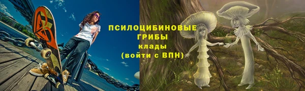 spice Кинешма