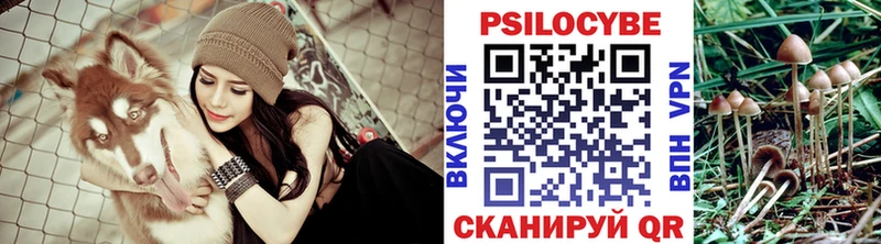Псилоцибиновые грибы Cubensis  Купить закладки  Сасово 