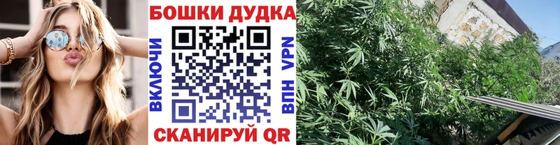 Конопля SATIVA & INDICA  Купить  Сасово 